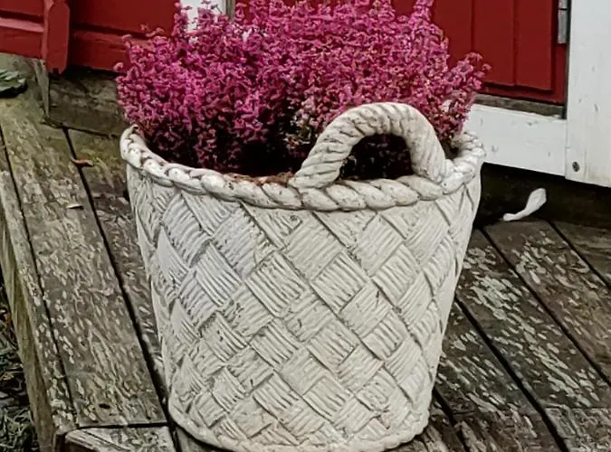 公寓 Walhalla 福尔萨